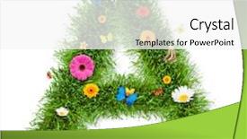  Presentation with butterflies - Beautiful presentation design featuring with blooms and butterflies backdrop and a white colored foreground