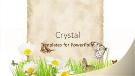  Presentation with butterflies - PPT theme having surgery hospital operation medical background and a wine colored foreground