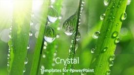  Presentation with dew - Presentation design with fresh grass with dew drops background and a tawny brown colored foreground