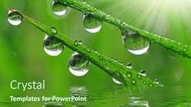  Presentation with dew - 