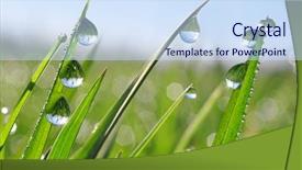  Presentation with dew - Slide deck featuring fresh grass with dew drops background and a  colored foreground