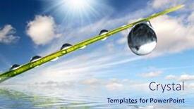  Presentation with dew - PPT theme featuring water conservation - fresh grass with dew drops background and a sky blue colored foreground