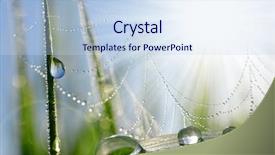  Presentation with spider web - Beautiful PPT layouts featuring fresh grass with dew drops backdrop and a sky blue colored foreground