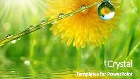  Presentation with dew - Theme featuring fresh grass with dew drops background and a shamrock green colored foreground