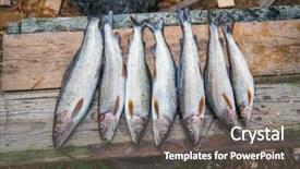  Presentation with old wood planks - Theme enhanced with fresh-graylings-on-old-wood background and a gray colored foreground