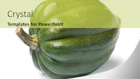  Presentation with white green - Colorful slide set enhanced with fresh-green-acorn-squash-close backdrop and a yellow colored foreground