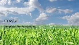  Presentation with agricultural - PPT theme featuring fresh green agricultural field background and a light blue colored foreground