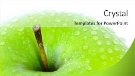  Presentation with water rain drop hanging on a fresh green leaf - PPT layouts consisting of fresh green apple with water background and a  colored foreground