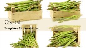  Presentation with asparagus - Cool new PPT theme with fresh-green-asparagus-shoots backdrop and a blonde colored foreground