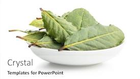  Presentation with green leaves - Theme featuring fresh-green-bay-leaves background and a white colored foreground