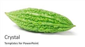  Presentation with bitter - Audience pleasing PPT theme consisting of fresh green bitter gourd backdrop and a white colored foreground