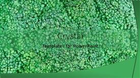  Presentation with fresh green broccoli - Presentation theme having fresh-green-broccoli-cabbage-head background and a  colored foreground