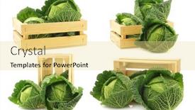  Presentation with abstract natural fresh green - Colorful slide set enhanced with fresh-green-cabbages backdrop and a blonde colored foreground