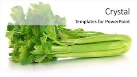  Presentation with celery - Amazing slide set having fresh green celery isolated backdrop and a white colored foreground