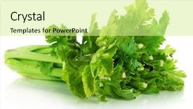  Presentation with celery - Slide deck having fresh green celery isolated on white background and a soft green colored foreground
