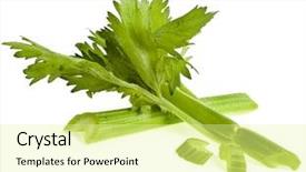  Presentation with celery - Audience pleasing theme consisting of fresh green celery isolated backdrop and a blonde colored foreground