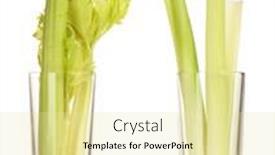  Presentation with celery - Colorful PPT theme enhanced with fresh green celery in a glass isolated on white backdrop and a blonde colored foreground