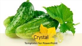  Presentation with green fresh food - Cool new presentation theme with fresh green cucumber with leaf backdrop and a yellow colored foreground