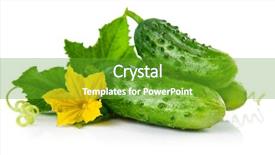  Presentation with green fresh food - Cool new presentation with fresh green cucumber with leaf backdrop and a tawny brown colored foreground