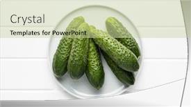  Presentation with cucumbers - Presentation design featuring fresh-green-cucumbers-on-white background and a mint green colored foreground