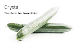  Presentation with cucumbers - Slide set enhanced with fresh-green-cucumbers-wrapped background and a white colored foreground