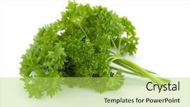  Presentation with bunch - Presentation theme consisting of garnish - bunch of fresh green curly background and a yellow colored foreground