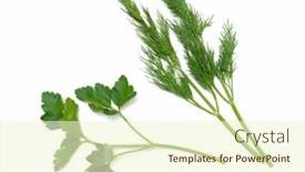  Presentation with white green - Slide set consisting of fresh-green-dill-and-parsley background and a cream colored foreground