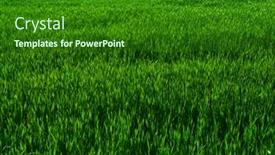  Presentation with green lawn - Colorful presentation theme enhanced with fresh-green-grass-background-long backdrop and a  colored foreground