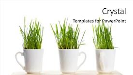  Presentation with green coffee - Presentation having fresh green grass in coffee background and a  colored foreground