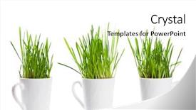  Presentation with green coffee - Beautiful presentation theme featuring fresh green grass in coffee backdrop and a white colored foreground