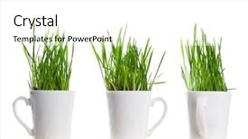  Presentation with green coffee - Slides enhanced with fresh green grass in coffee background and a  colored foreground