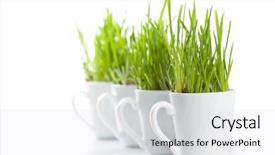  Presentation with green coffee - Presentation theme featuring fresh green grass in coffee background and a  colored foreground