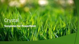  Presentation with spring nature grass - Cool new slide deck with fresh-green-grass-spring-background backdrop and a tawny brown colored foreground