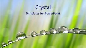  Presentation with green nature - Beautiful slide set featuring fresh green grass with dew backdrop and a sky blue colored foreground