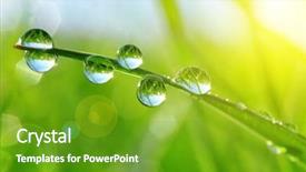  Presentation with fresh water - Beautiful theme featuring fresh green grass with water backdrop and a tawny brown colored foreground