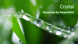  Presentation with fresh water - Amazing PPT layouts having fresh green grass with water backdrop and a  colored foreground