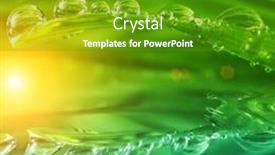  Presentation with fresh water - PPT theme consisting of fresh-green-grass-with-water background and a tawny brown colored foreground