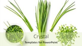  Presentation with white green - PPT theme consisting of fresh-green-herbs-chives background and a soft green colored foreground
