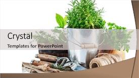  Presentation with garden tools - Amazing theme having fresh green herbs with garden backdrop and a light gray colored foreground