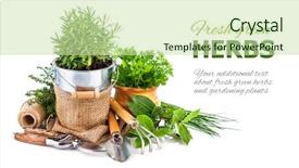  Presentation with garden tools - PPT layouts featuring fresh green herbs with garden background and a soft green colored foreground