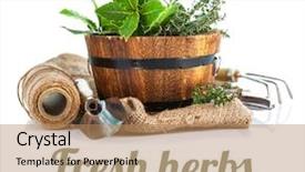  Presentation with garden tools - Presentation theme having fresh green herbs with garden background and a  colored foreground
