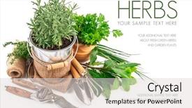  Presentation with garden tools - Audience pleasing presentation design consisting of fresh green herbs with garden backdrop and a light gray colored foreground