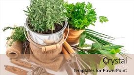  Presentation with garden tools - Beautiful presentation design featuring fresh green herbs with garden backdrop and a coral colored foreground