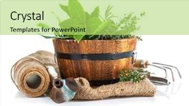  Presentation with vegetable gardening - Colorful PPT theme enhanced with fresh green herbs with garden backdrop and a yellow colored foreground