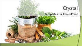  Presentation with garden tools - Slides with fresh green herbs with garden background and a white colored foreground