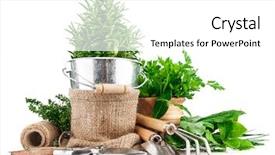  Presentation with garden tools - Colorful presentation design enhanced with fresh green herbs with garden backdrop and a white colored foreground