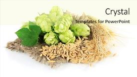  Presentation with hops - Cool new theme with fresh green hops and barley backdrop and a blonde colored foreground