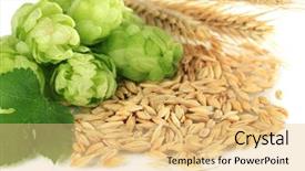  Presentation with hops - Audience pleasing slide deck consisting of fresh green hops and barley isolated on white backdrop and a lemonade colored foreground