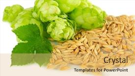  Presentation with hops - Amazing presentation design having fresh green hops and barley backdrop and a yellow colored foreground