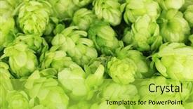  Presentation with hops - PPT layouts enhanced with fresh green hops close up background and a yellow colored foreground